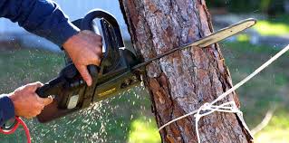 Best Lawn Watering Services  in Valley Springs, CA
