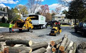 Best Lot and Land Clearing  in Valley Springs, CA