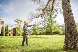 Best Lawn Maintenance Plans  in Valley Springs, CA