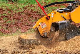 Best Tree Disease Treatment  in Valley Springs, CA
